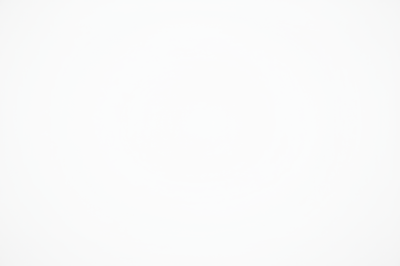 a pure white blank space